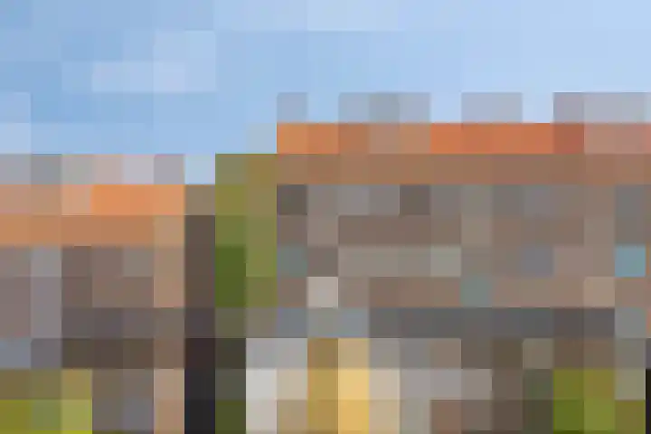 Bernardus Gewinstraat 25 C Rotterdam thumbnail 7