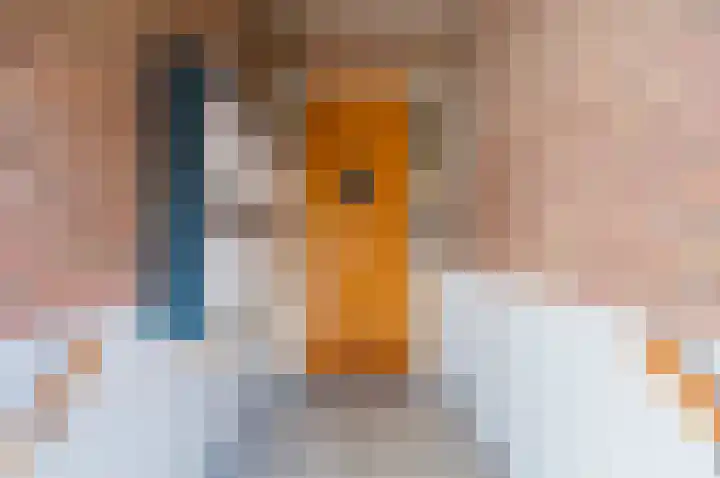 Bernardus Gewinstraat 26 D Rotterdam thumbnail 5