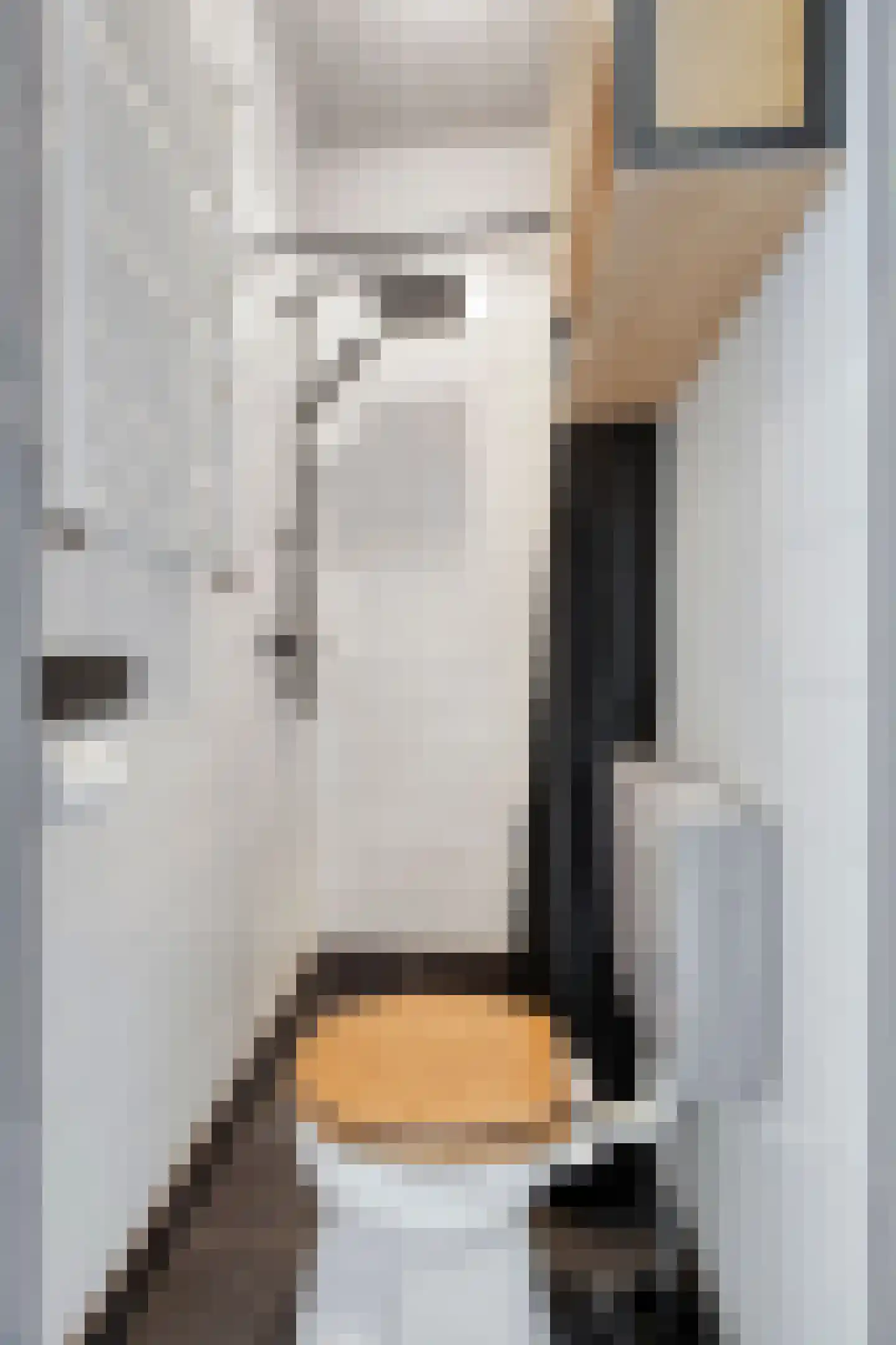 Bernardus Gewinstraat 29 D Rotterdam thumbnail 17