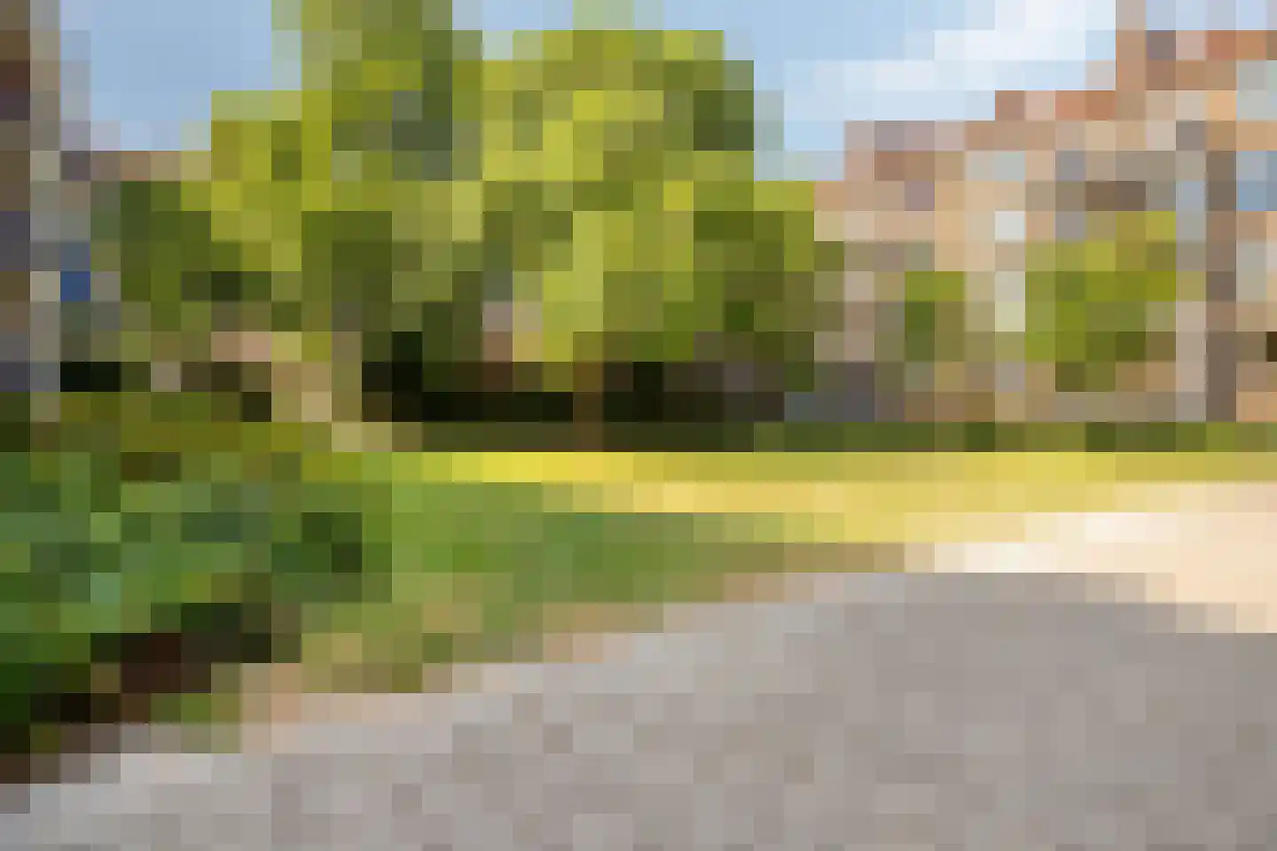 Bernardus Gewinstraat 29 D Rotterdam thumbnail 27