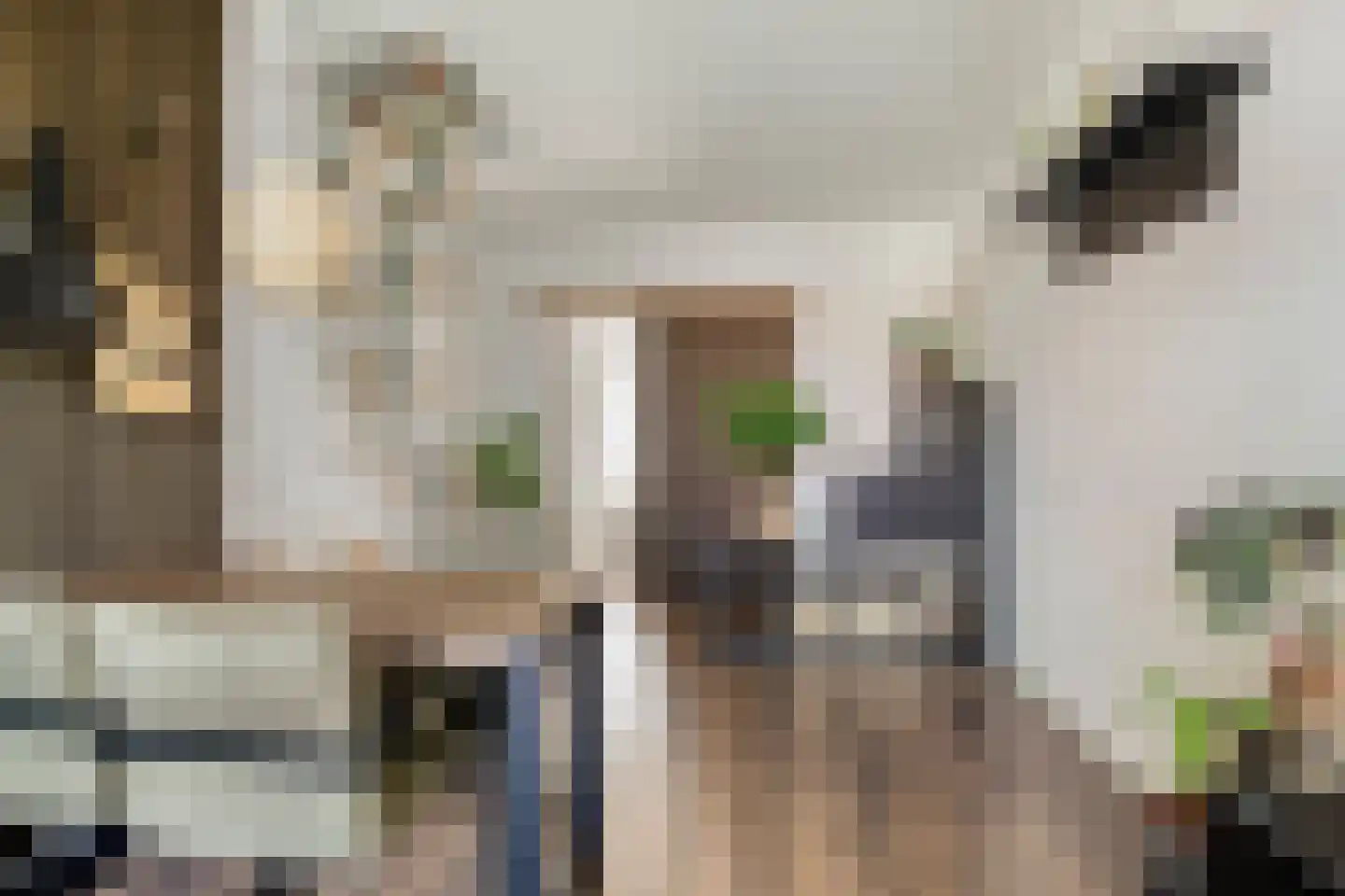 Bernardus Gewinstraat 29 D Rotterdam thumbnail 5