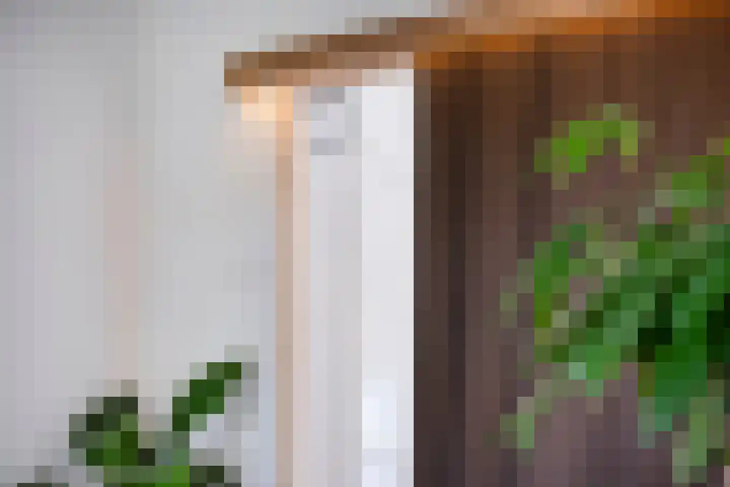 Bernardus Gewinstraat 29 D Rotterdam thumbnail 8