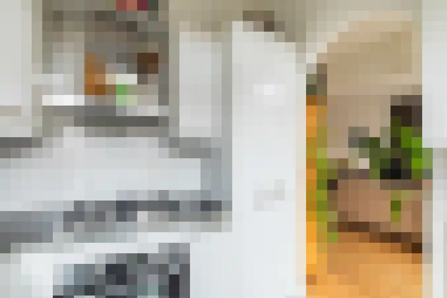 Bernardus Gewinstraat 3 A Rotterdam thumbnail 21