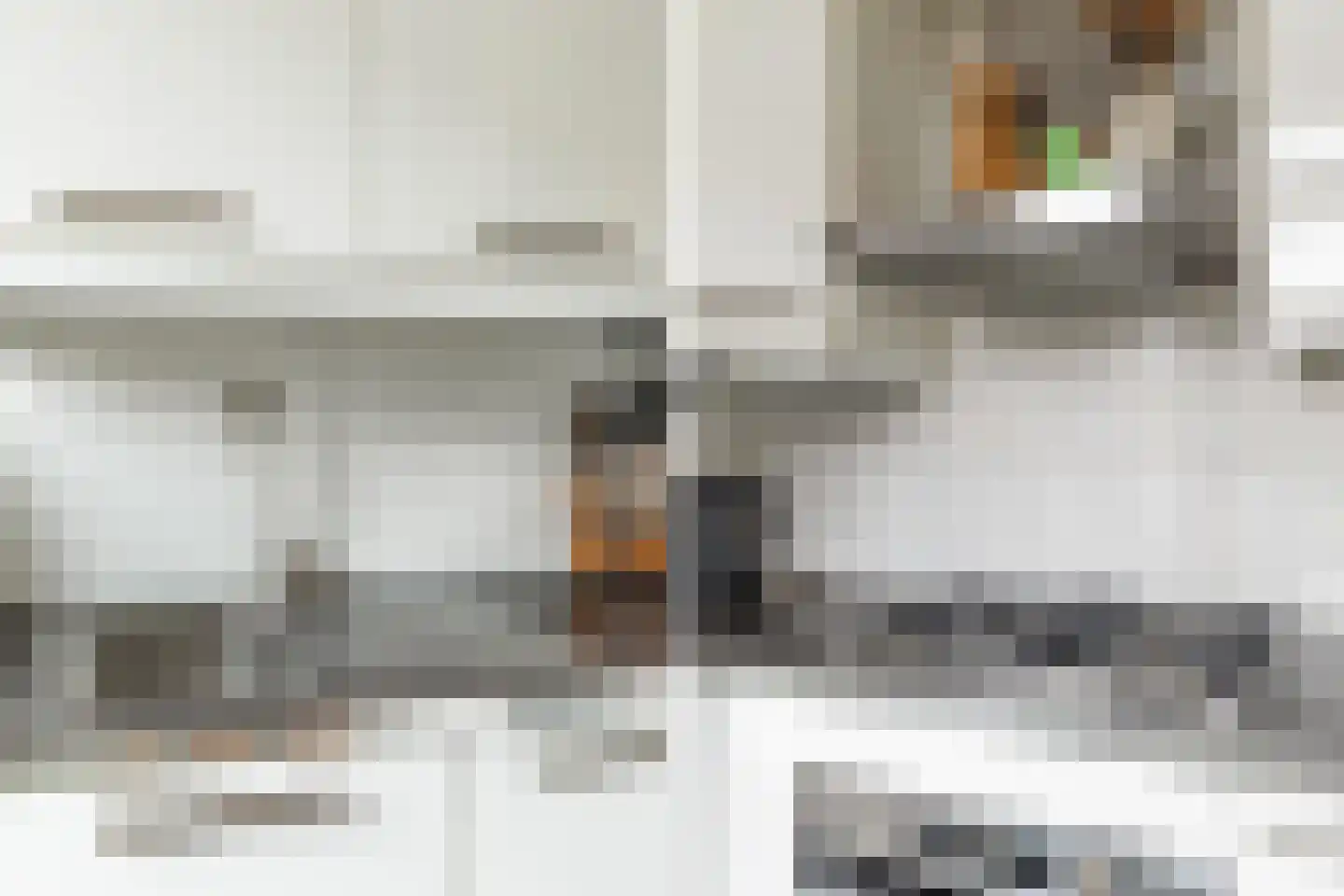 Bernardus Gewinstraat 3 A Rotterdam thumbnail 22