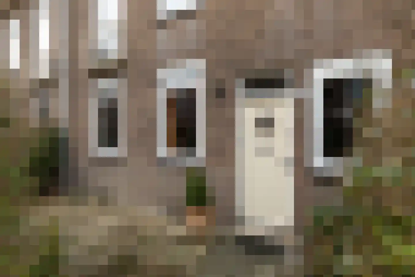 Bernardus Gewinstraat 3 A Rotterdam thumbnail 42