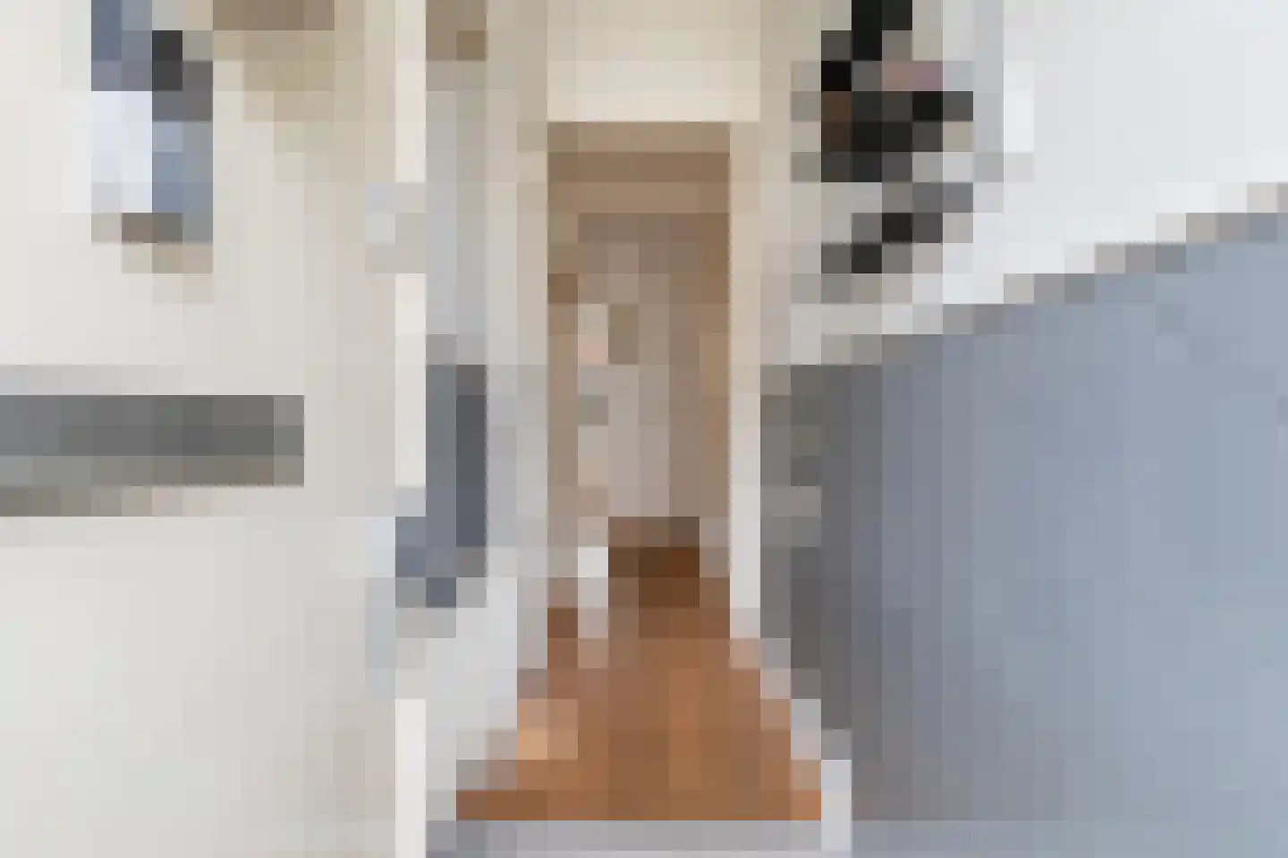 Bernardus Gewinstraat 3 A Rotterdam thumbnail 5