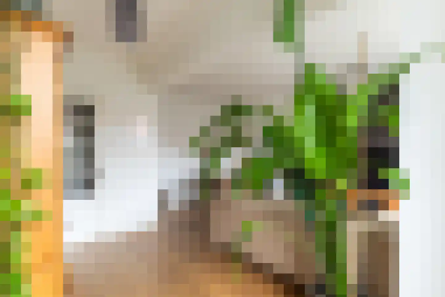Bernardus Gewinstraat 3 A Rotterdam thumbnail 7