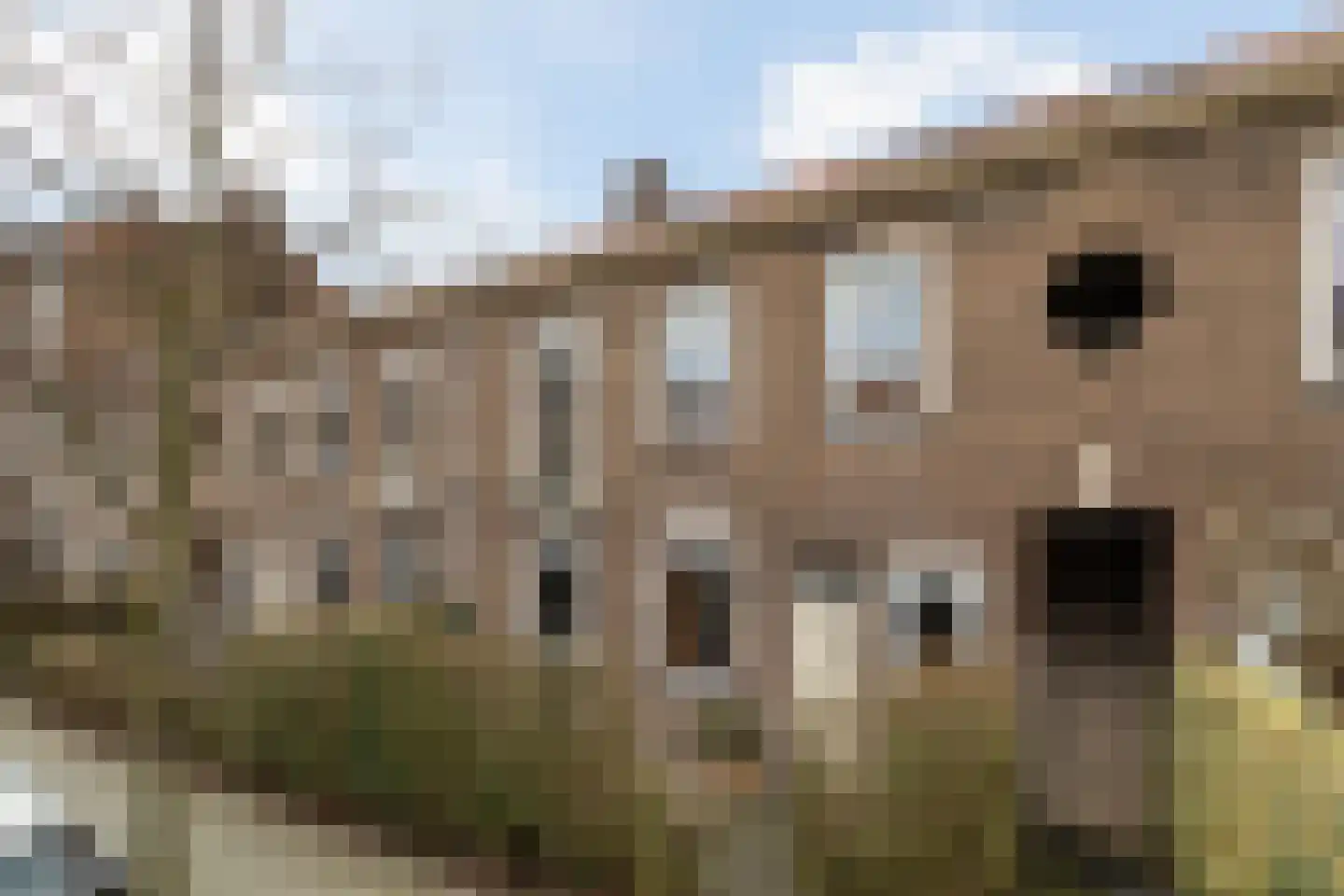Bernardus Gewinstraat 3 B in Rotterdam