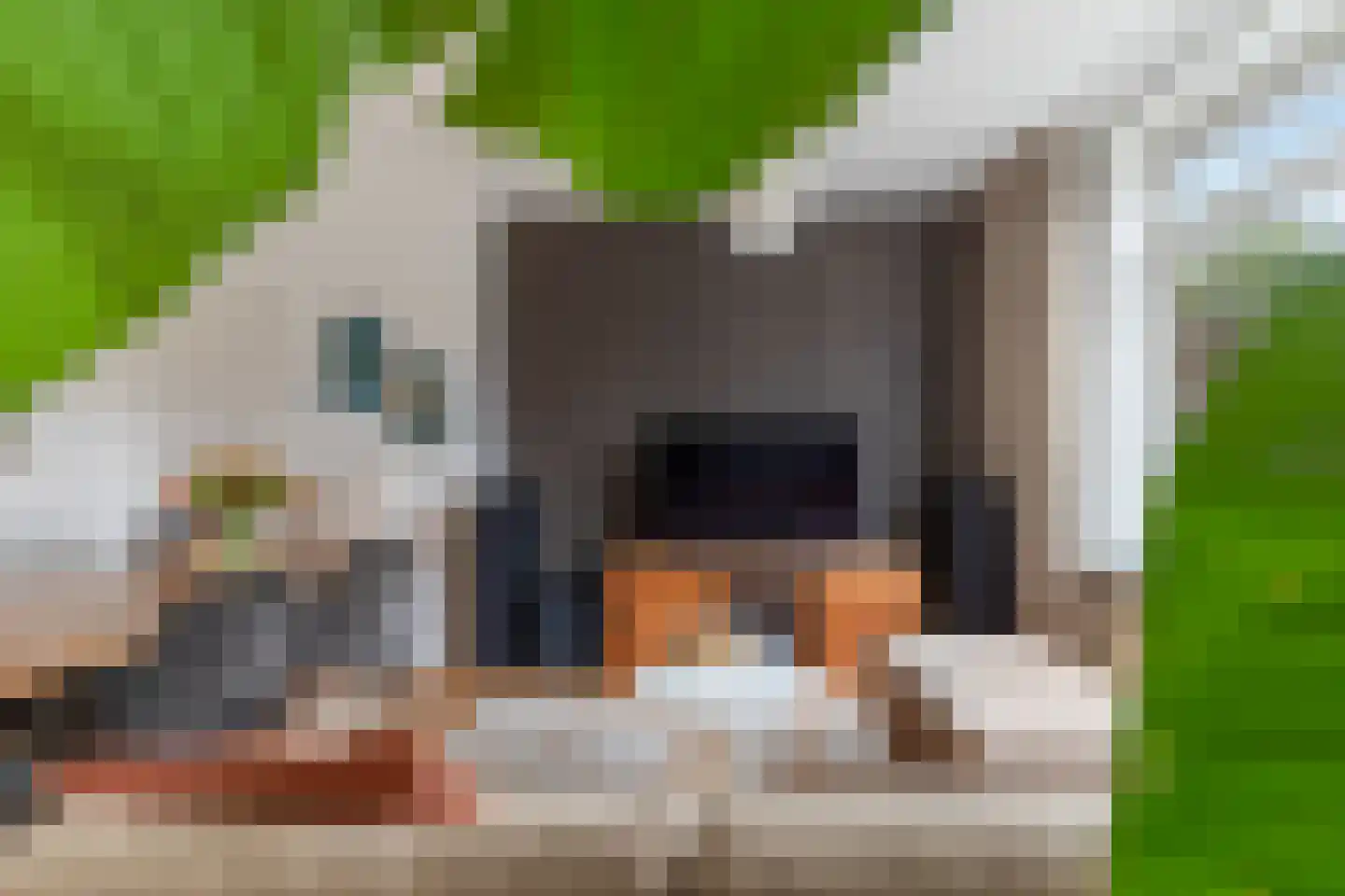 Bernardus Gewinstraat 3 B Rotterdam thumbnail 10