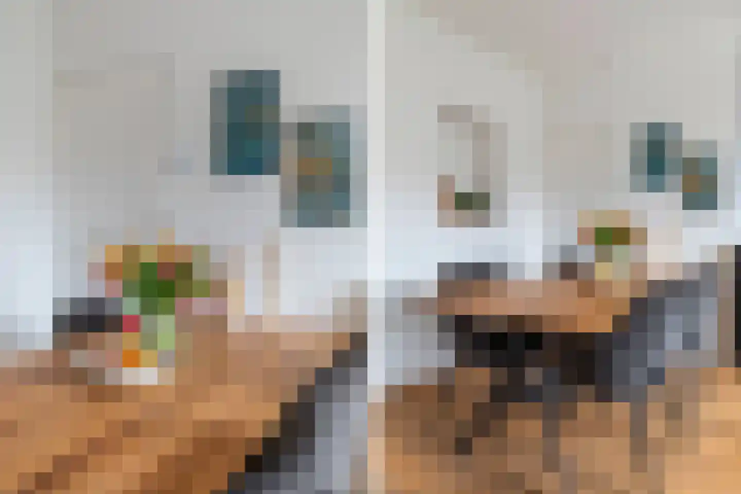 Bernardus Gewinstraat 3 B Rotterdam thumbnail 17
