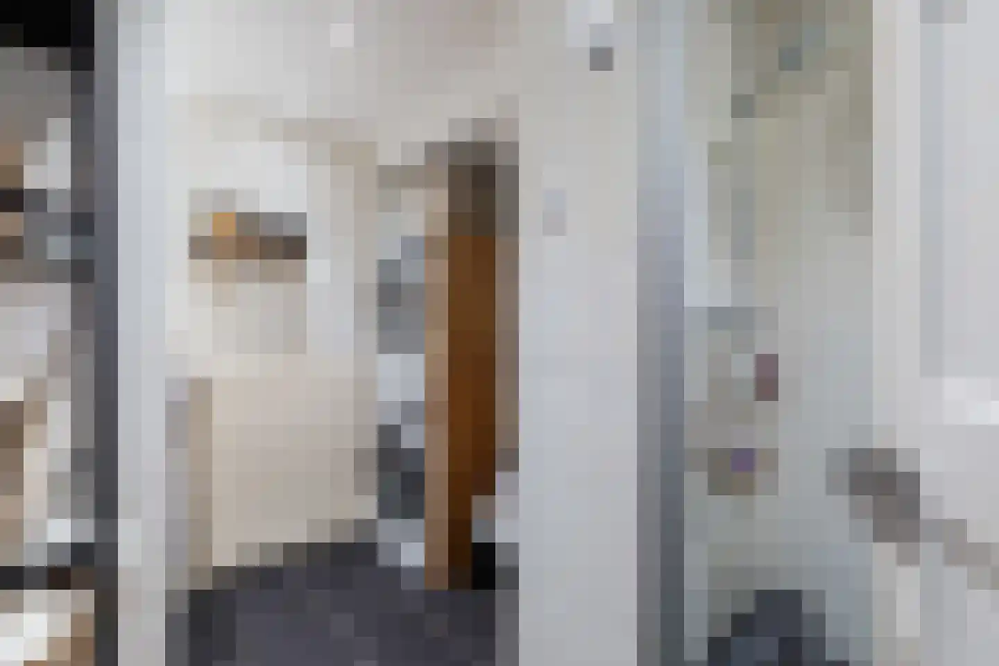 Bernardus Gewinstraat 3 B Rotterdam thumbnail 32