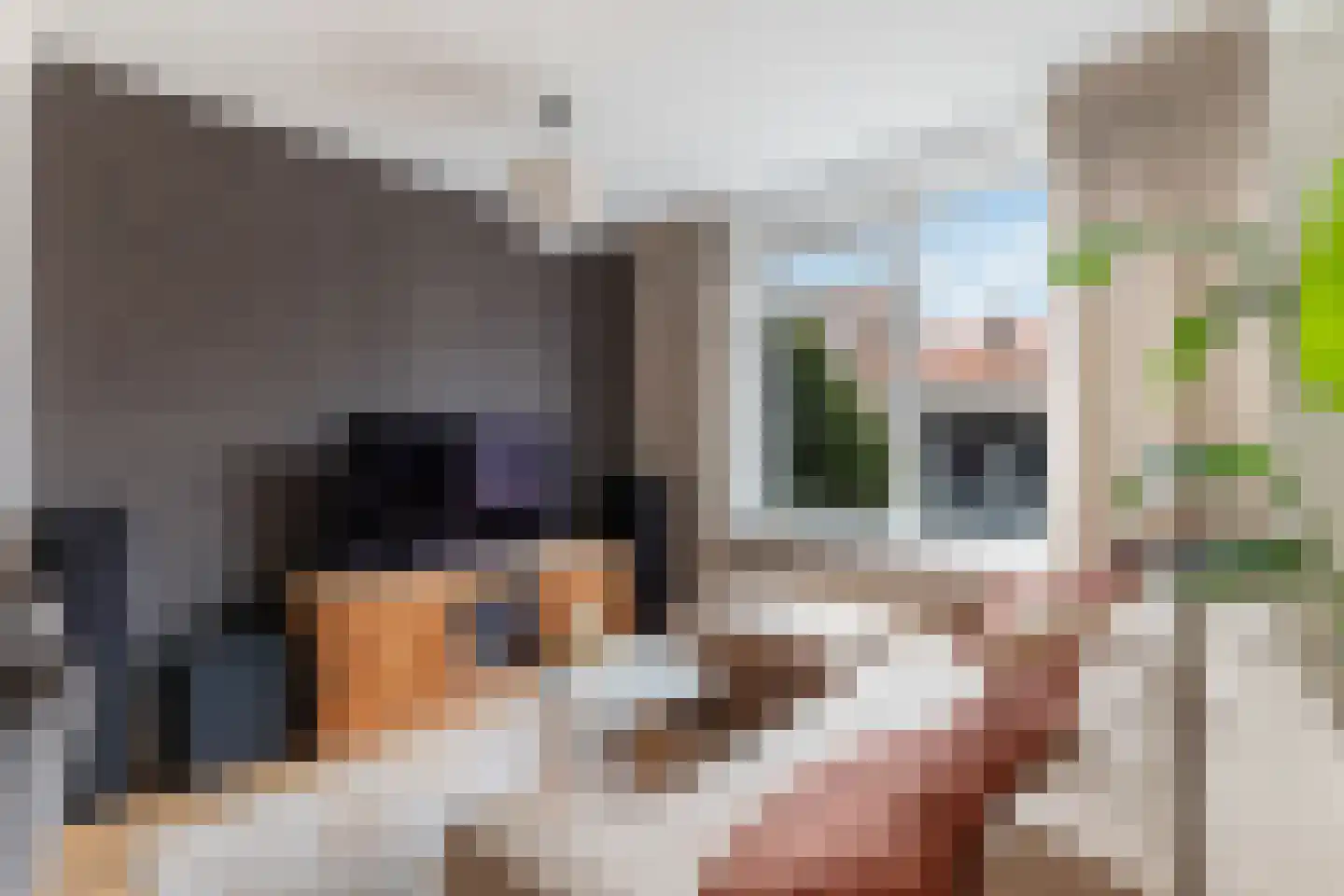 Bernardus Gewinstraat 3 B Rotterdam thumbnail 9