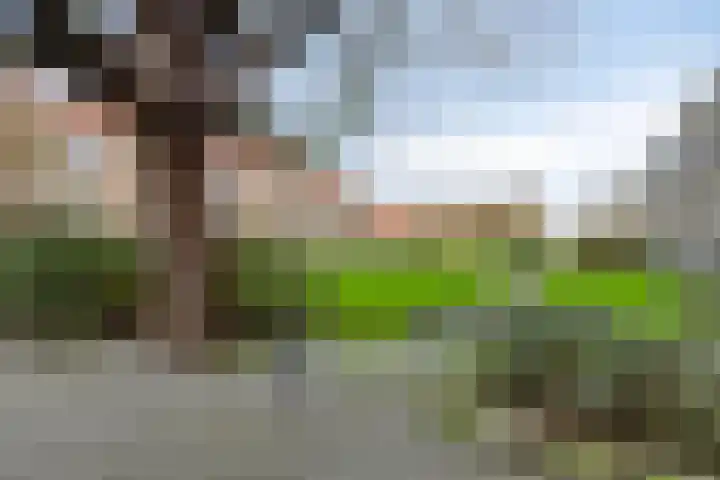 Bernardus Gewinstraat 35 B Rotterdam thumbnail 18