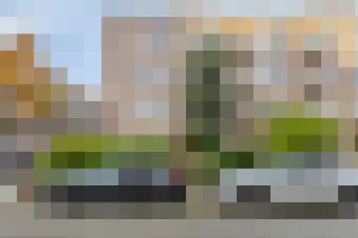 Bernardus Gewinstraat 35 B Rotterdam thumbnail 20