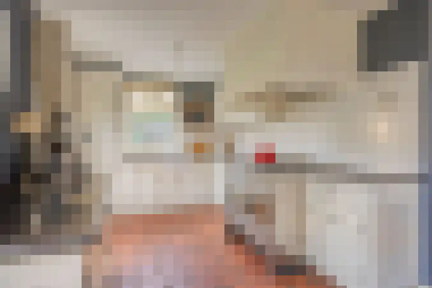Bernardus Hollanderstraat 1 Middenbeemster thumbnail 13