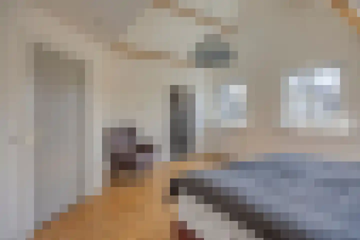 Bernardus Hollanderstraat 1 Middenbeemster thumbnail 17