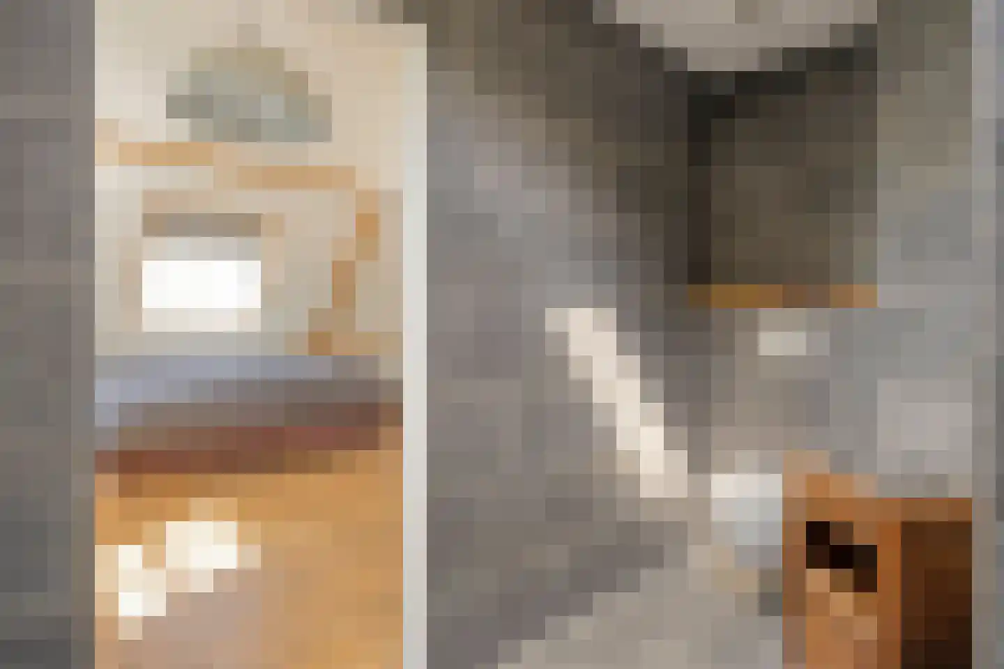 Bernardus Hollanderstraat 1 Middenbeemster thumbnail 19