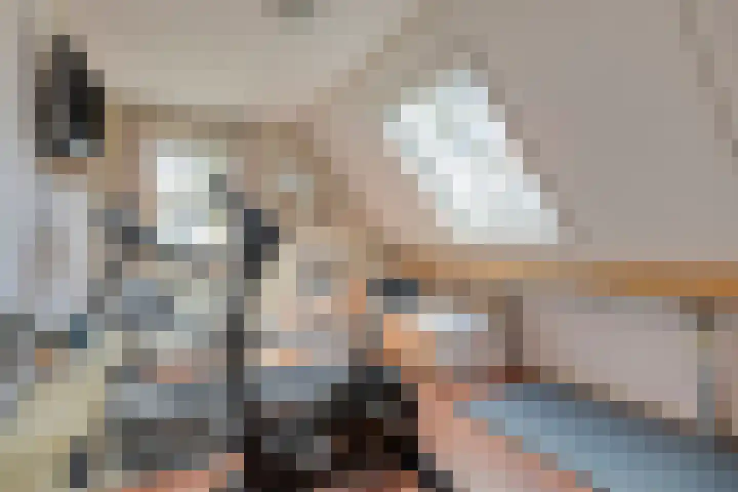 Bernardus Hollanderstraat 1 Middenbeemster thumbnail 20
