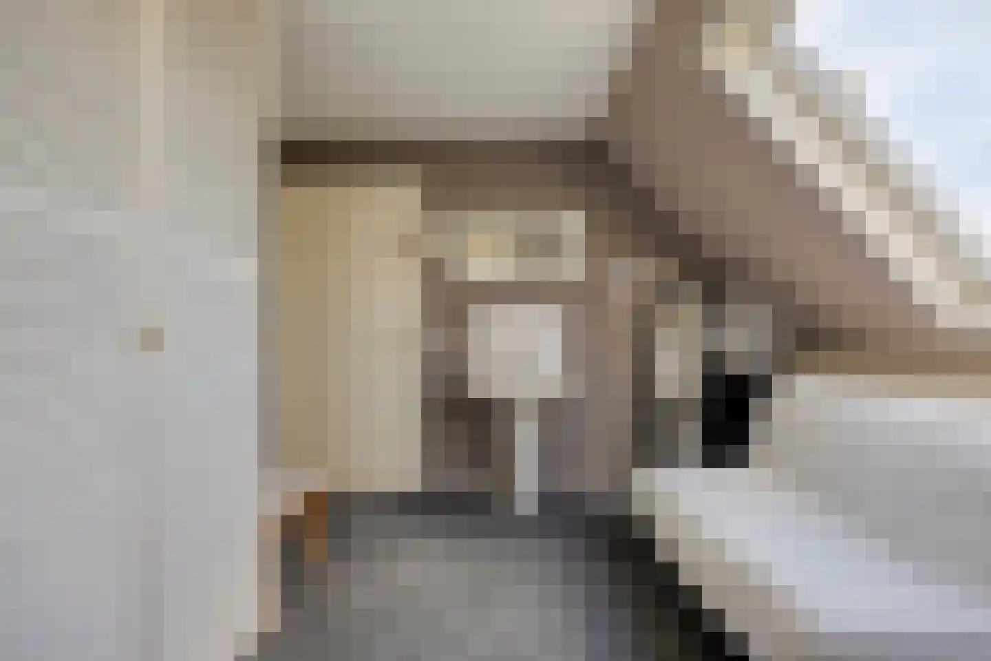 Bernardus Hollanderstraat 1 Middenbeemster thumbnail 21