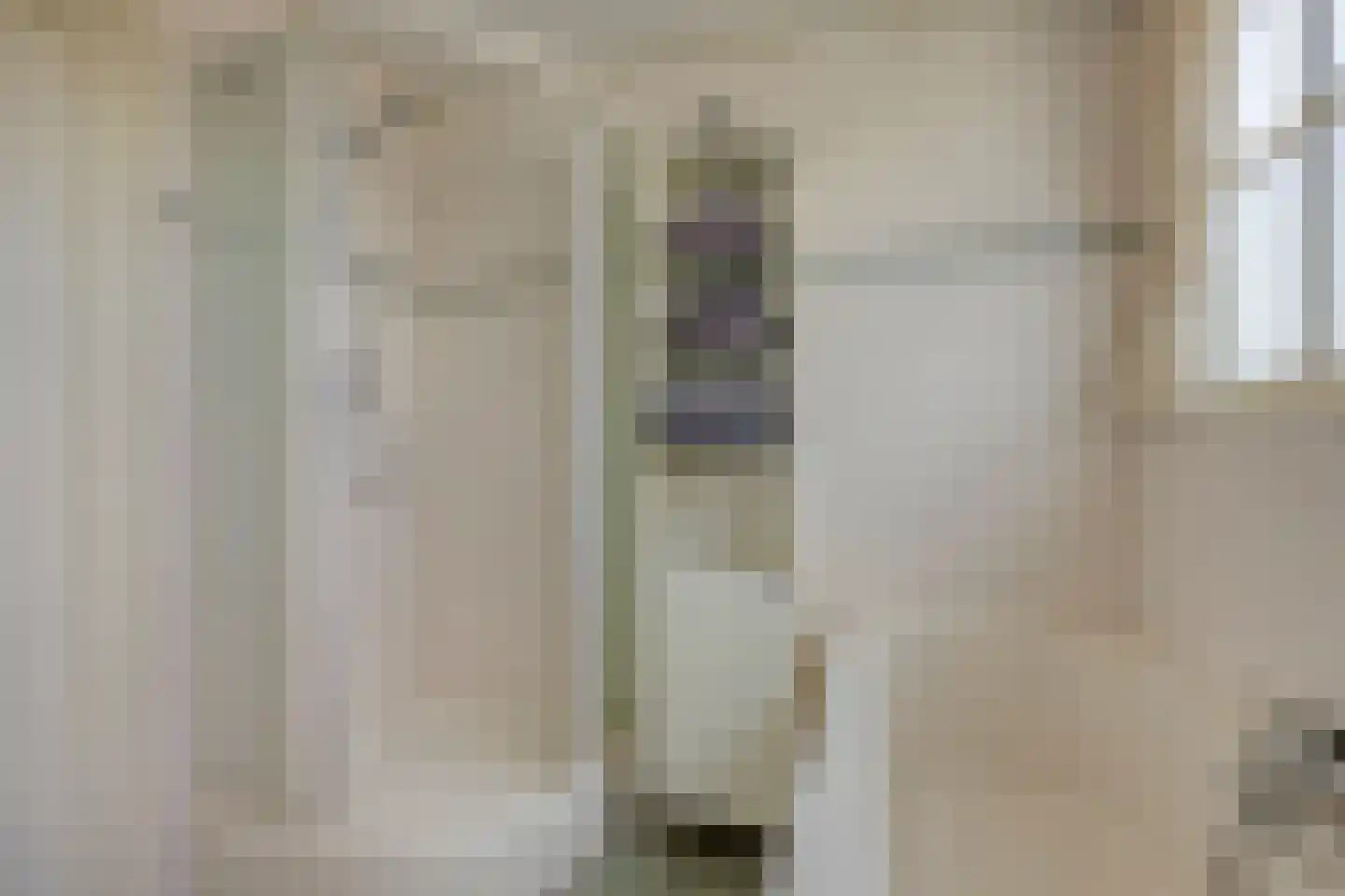 Bernardus Hollanderstraat 1 Middenbeemster thumbnail 23
