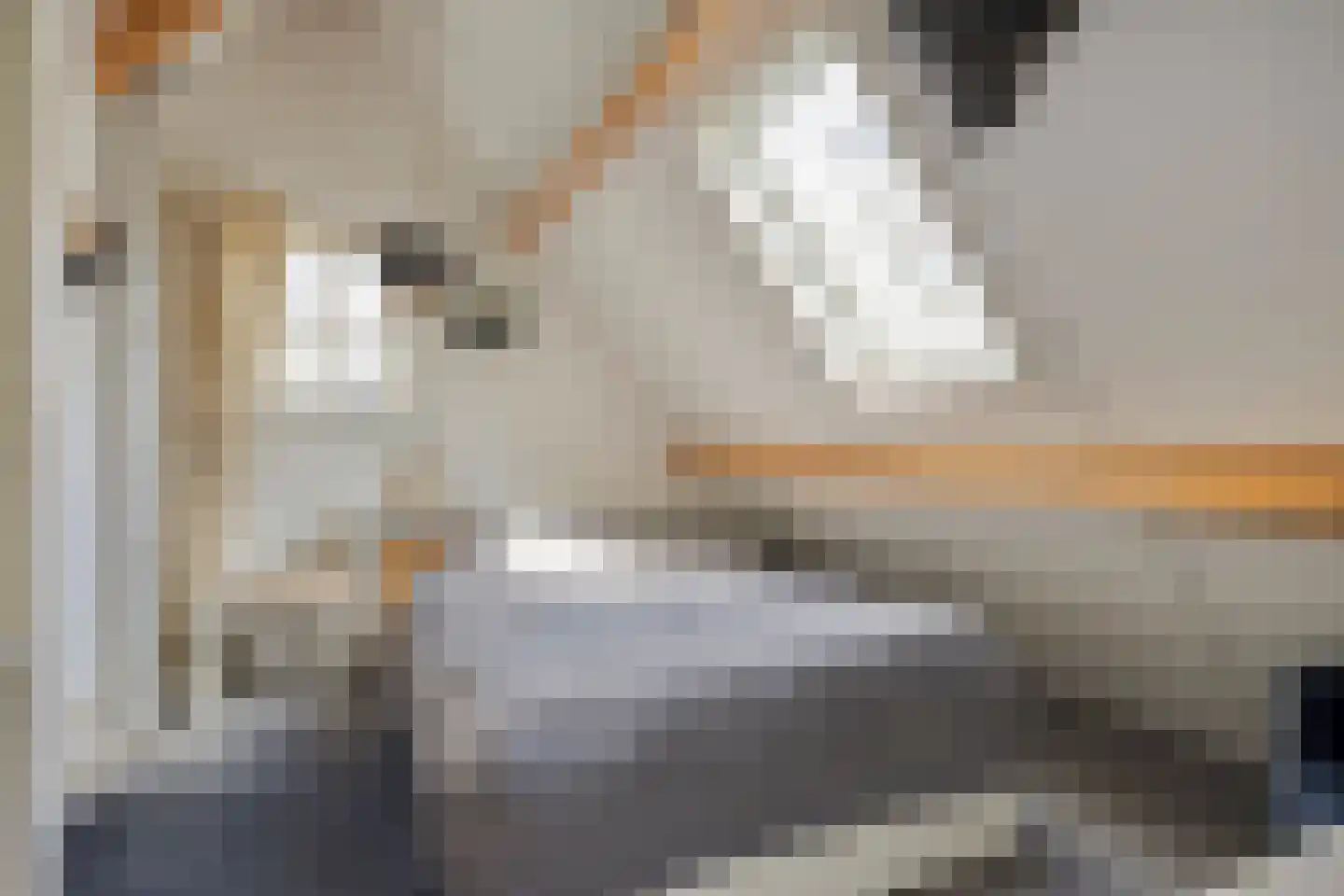 Bernardus Hollanderstraat 1 Middenbeemster thumbnail 24