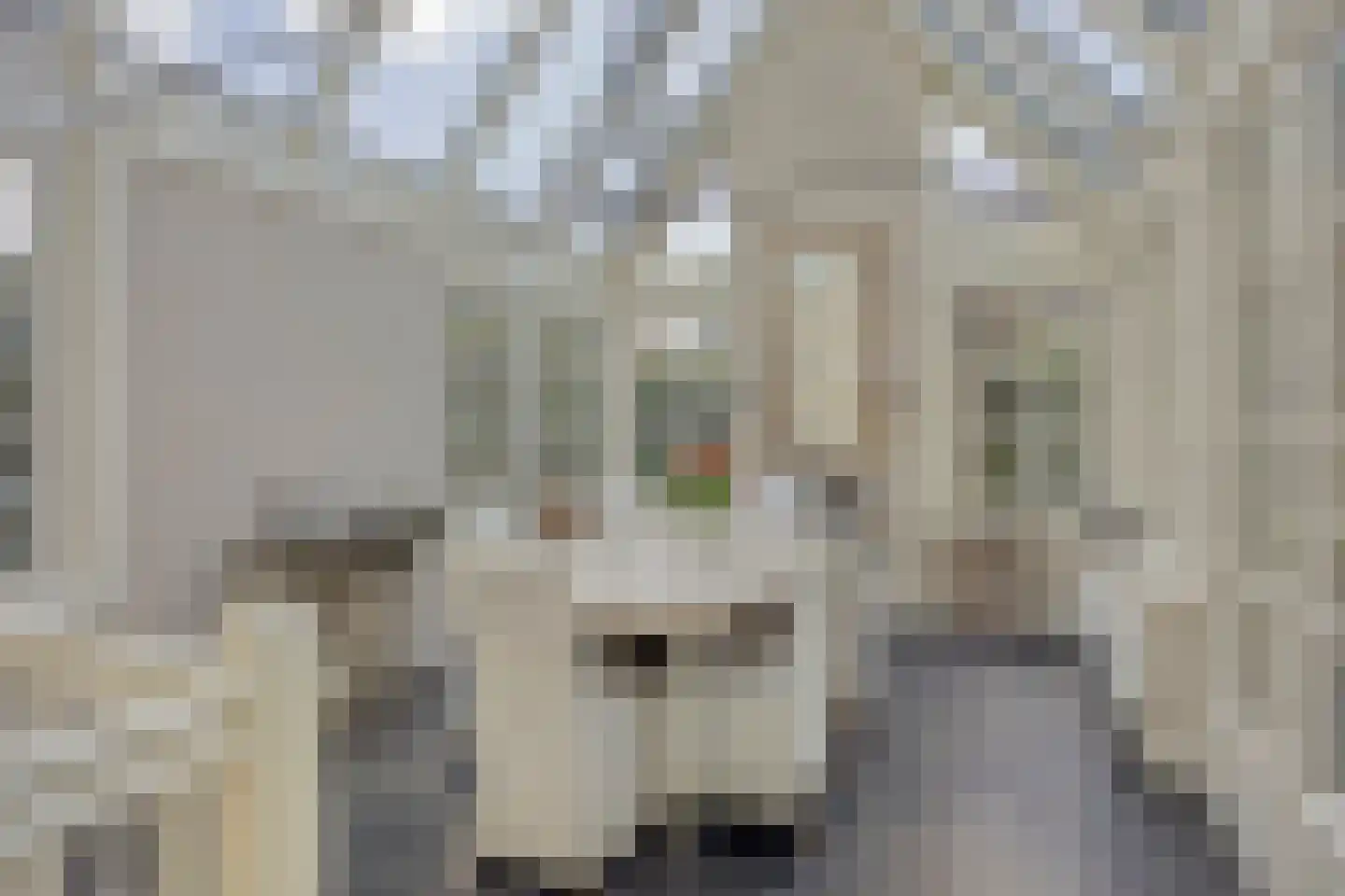 Bernardus Hollanderstraat 1 Middenbeemster thumbnail 29
