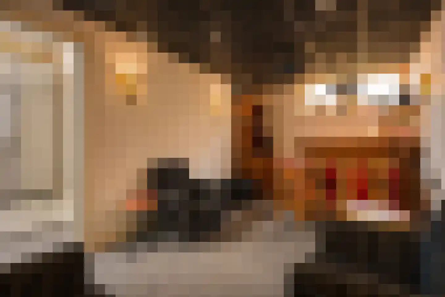 Bernardus Hollanderstraat 1 Middenbeemster thumbnail 33