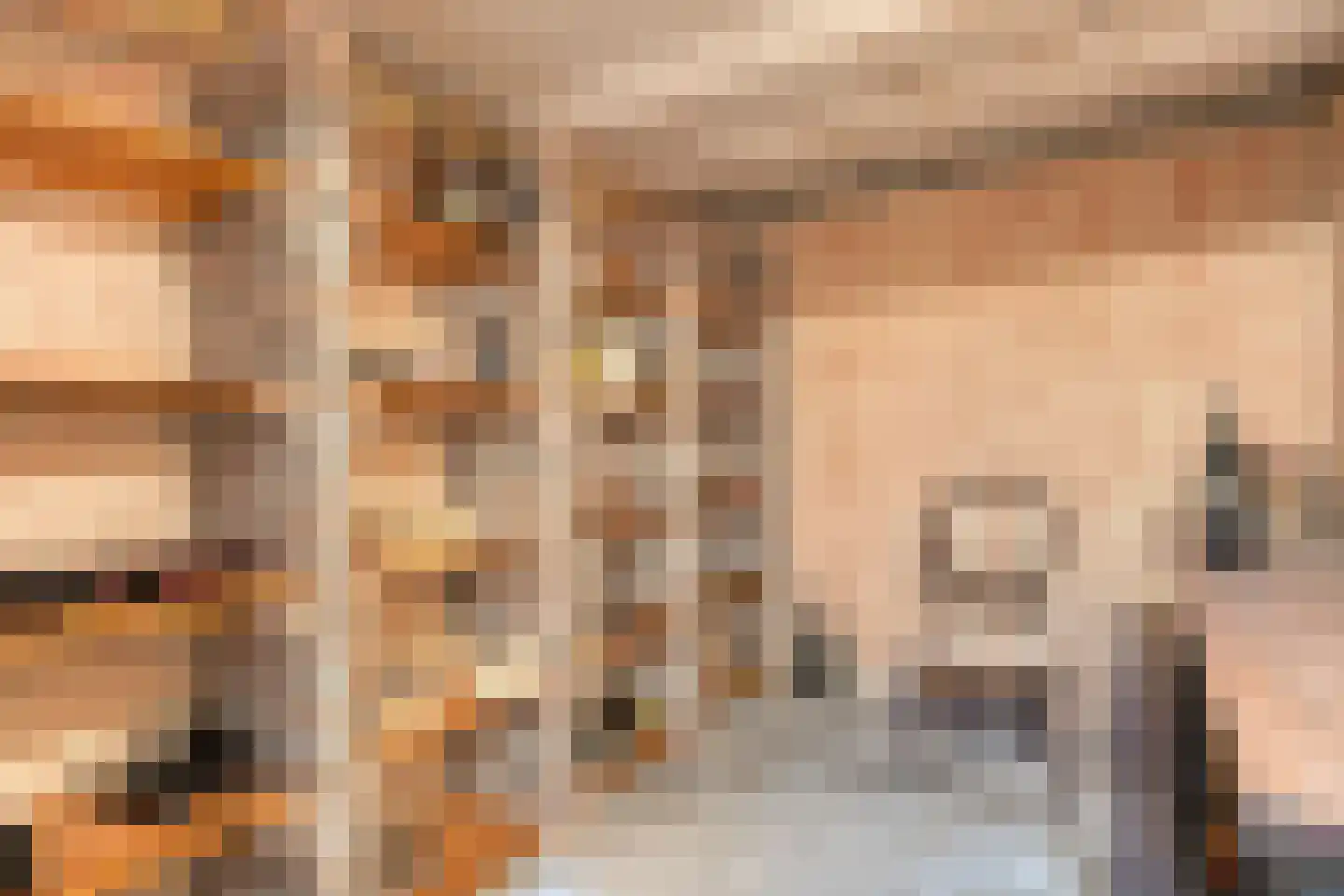Bernardus Hollanderstraat 1 Middenbeemster thumbnail 34