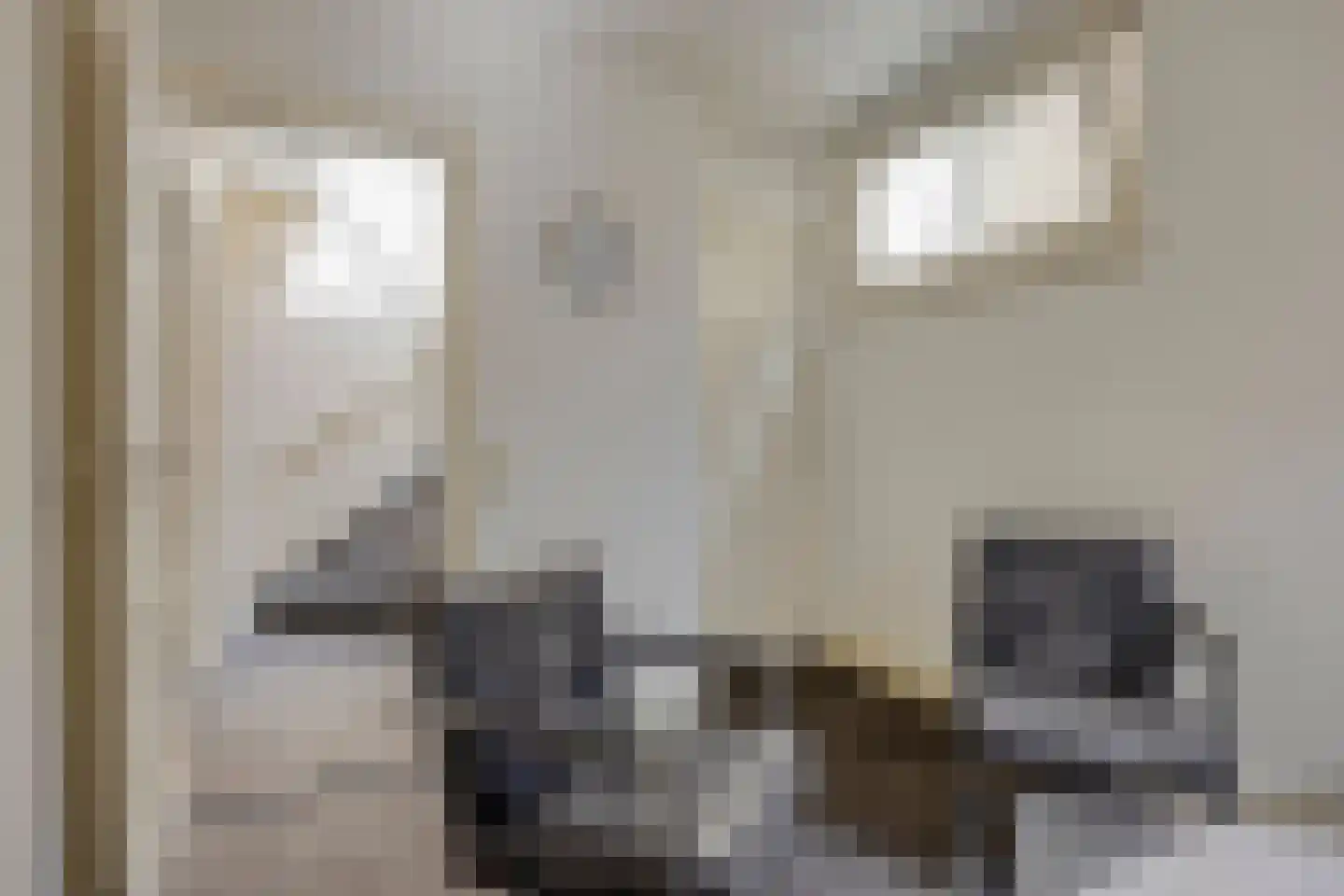 Bernardus Hollanderstraat 1 Middenbeemster thumbnail 34