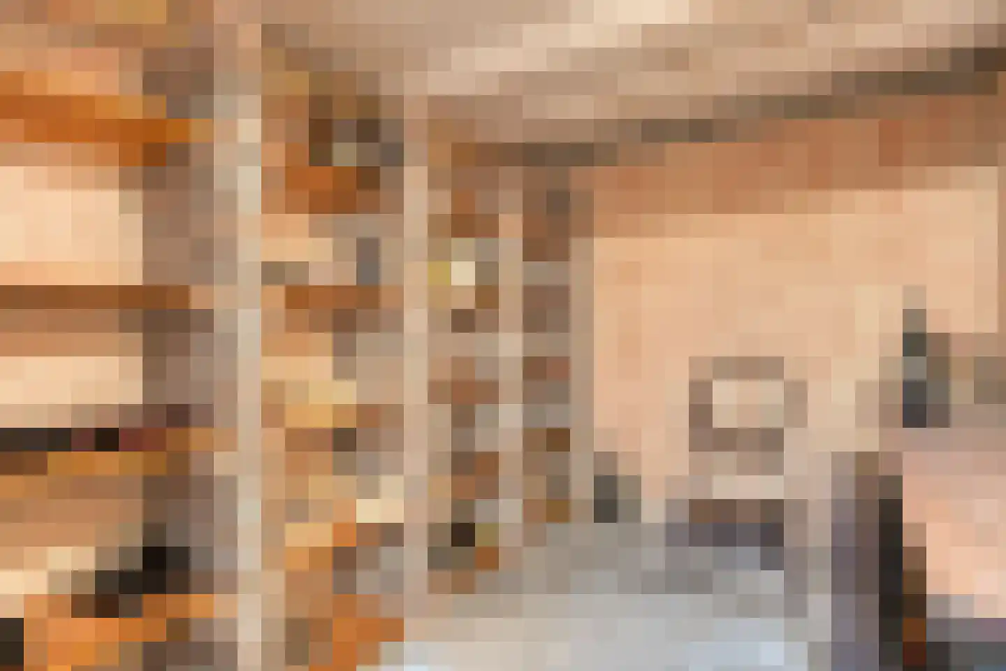 Bernardus Hollanderstraat 1 Middenbeemster thumbnail 35