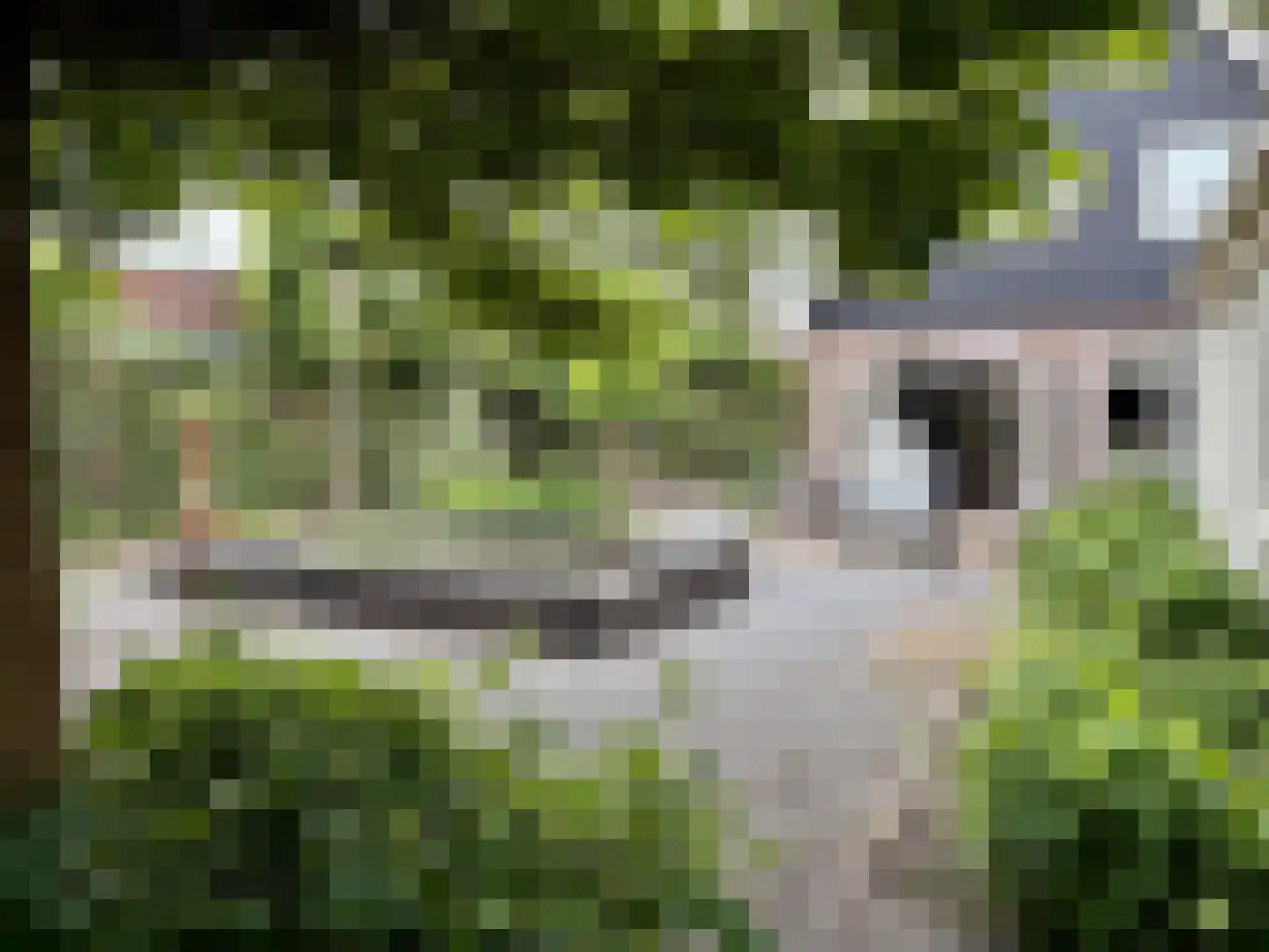 Bernardus Hollanderstraat 1 Middenbeemster thumbnail 39