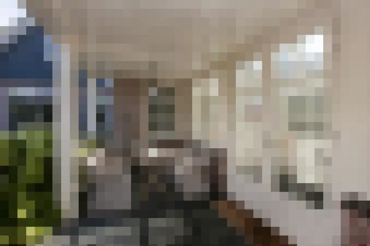 Bernardus Hollanderstraat 1 Middenbeemster thumbnail 40