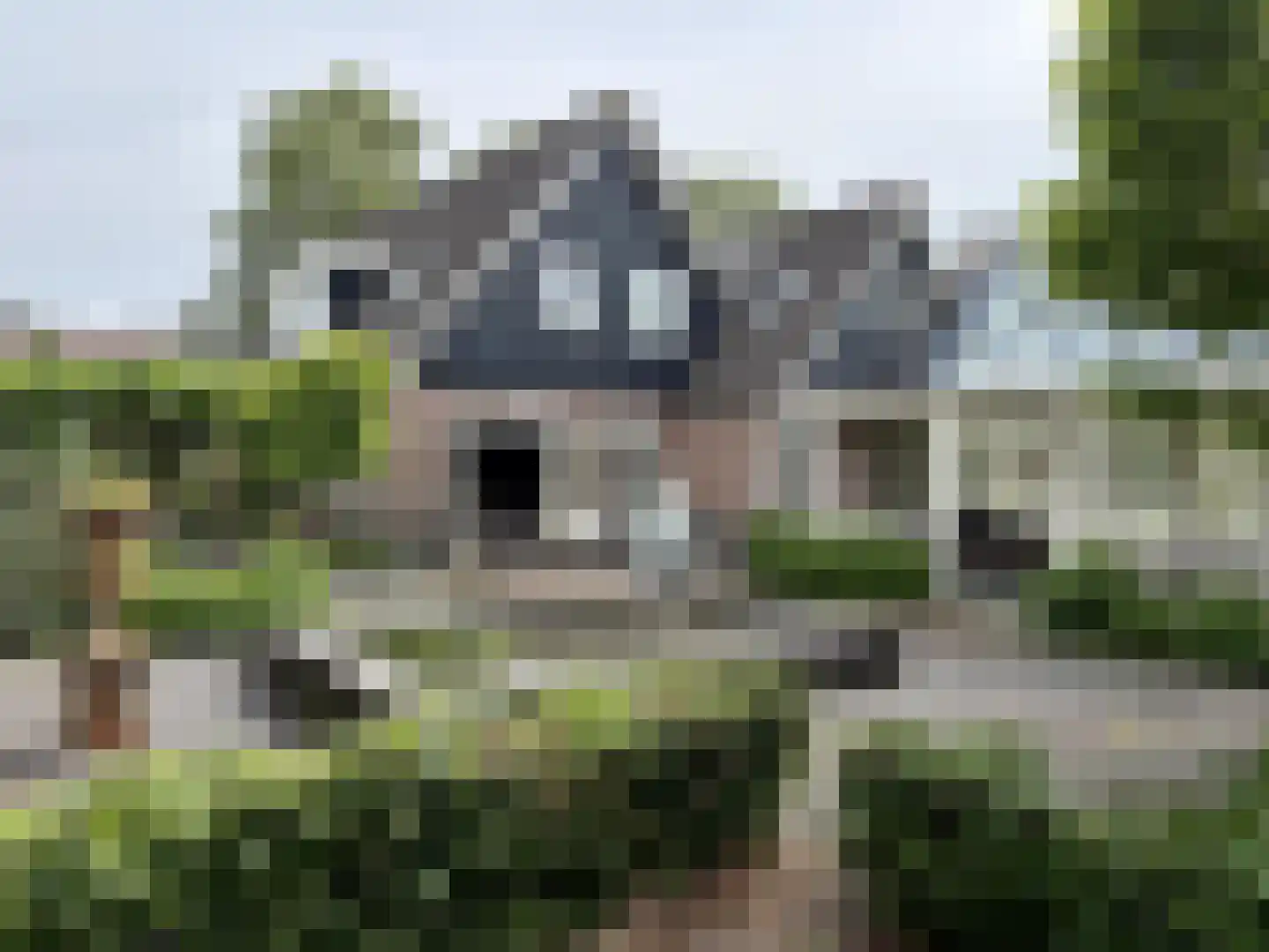 Bernardus Hollanderstraat 1 Middenbeemster thumbnail 41