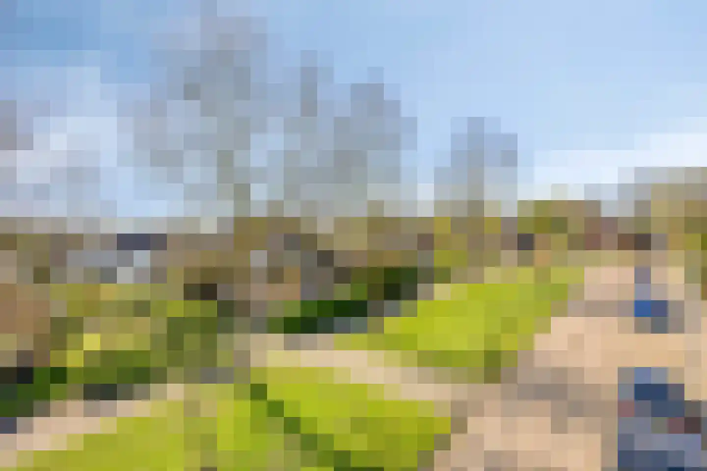 Bernardus Hollanderstraat 1 Middenbeemster thumbnail 45