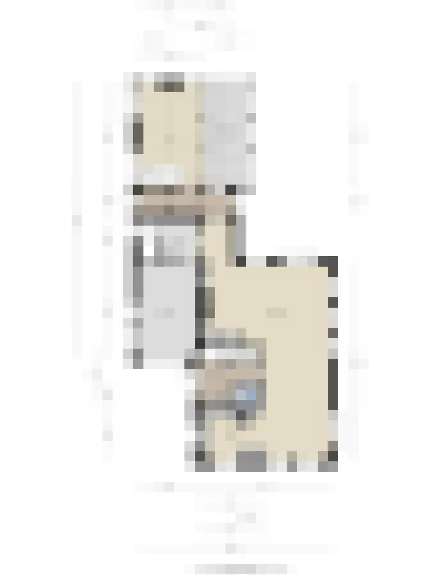 Bernardus Hollanderstraat 1 Middenbeemster thumbnail 46