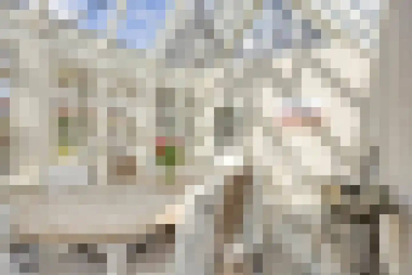 Bernardus Hollanderstraat 1 Middenbeemster thumbnail 5