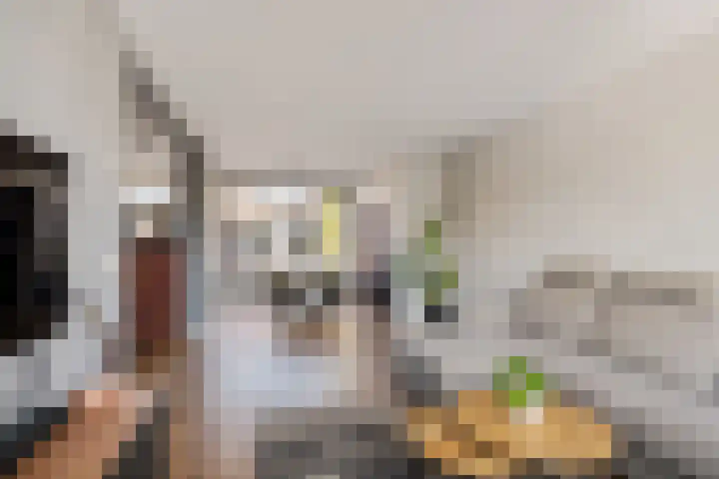 Bernardus IJzerdraatstraat 10 Oss thumbnail 10