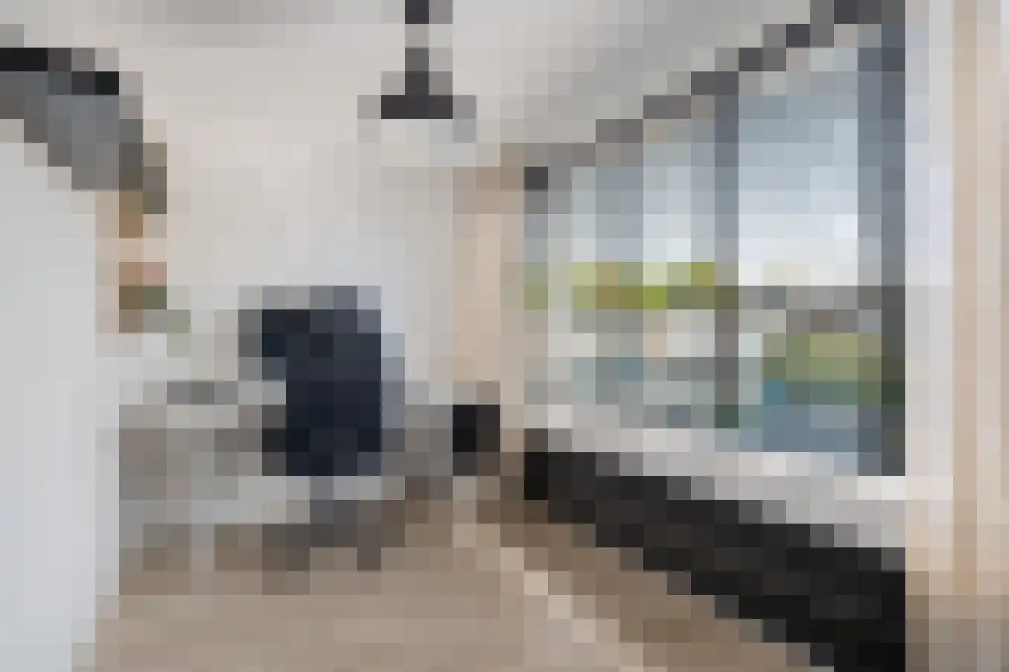 Bernardus IJzerdraatstraat 10 Oss thumbnail 20