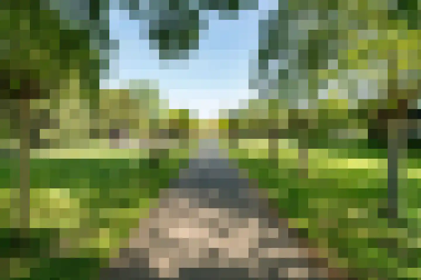 Bernardus IJzerdraatstraat 10 Oss thumbnail 34