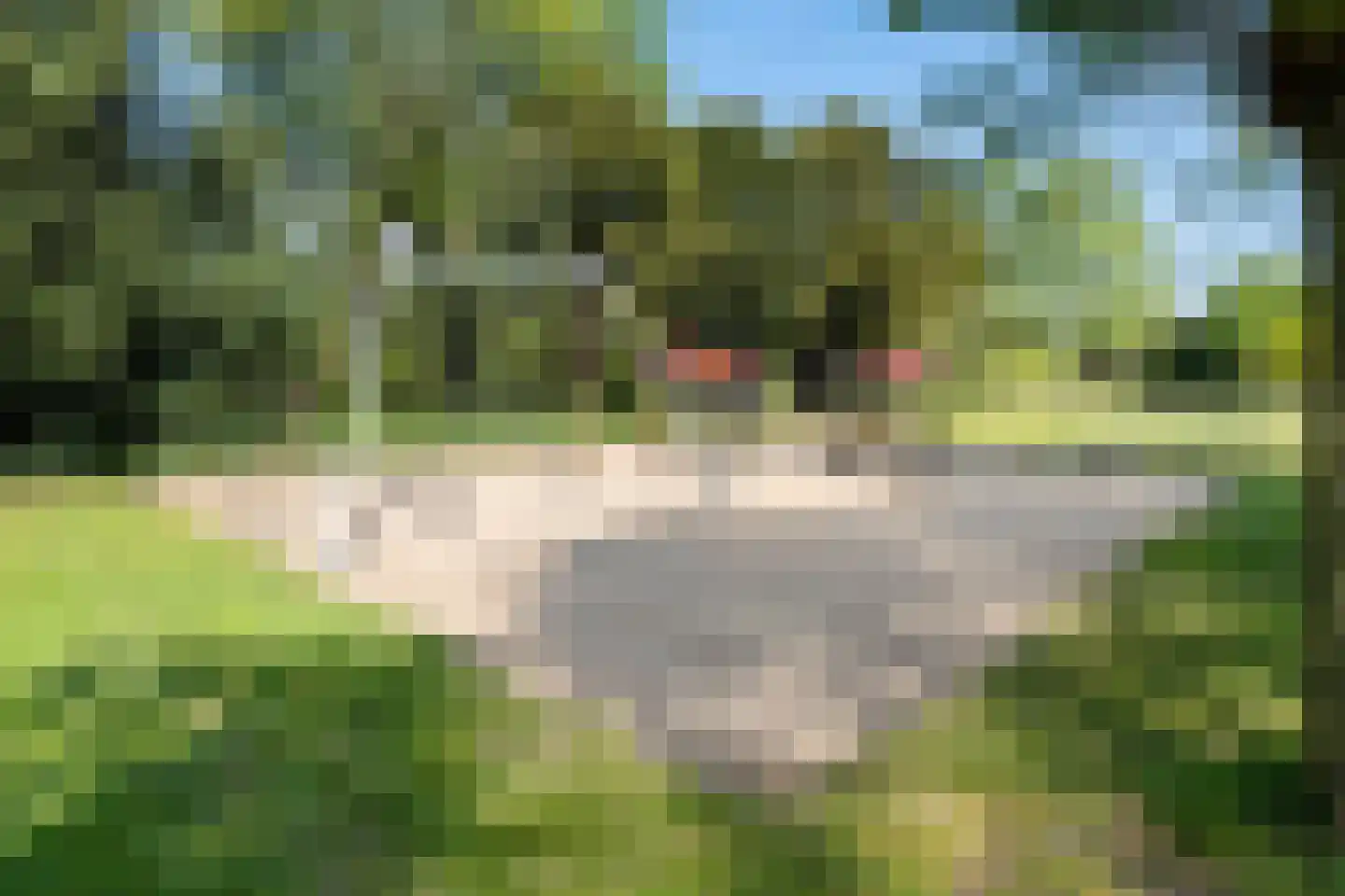 Bernardus IJzerdraatstraat 10 Oss thumbnail 35