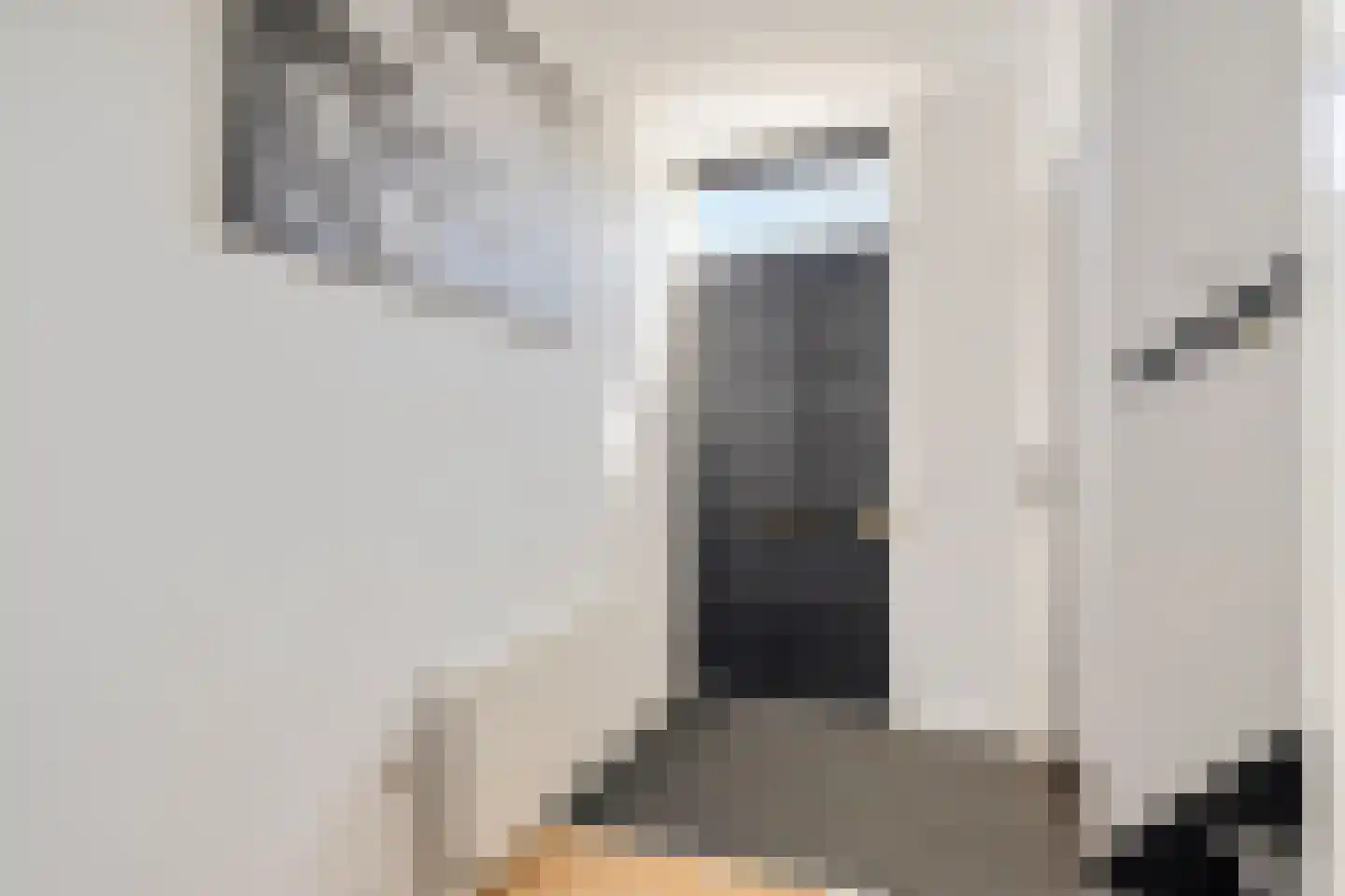 Bernardus IJzerdraatstraat 10 Oss thumbnail 6