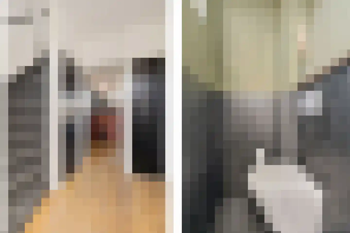 Bernardus IJzerdraatstraat 10 Oss thumbnail 7