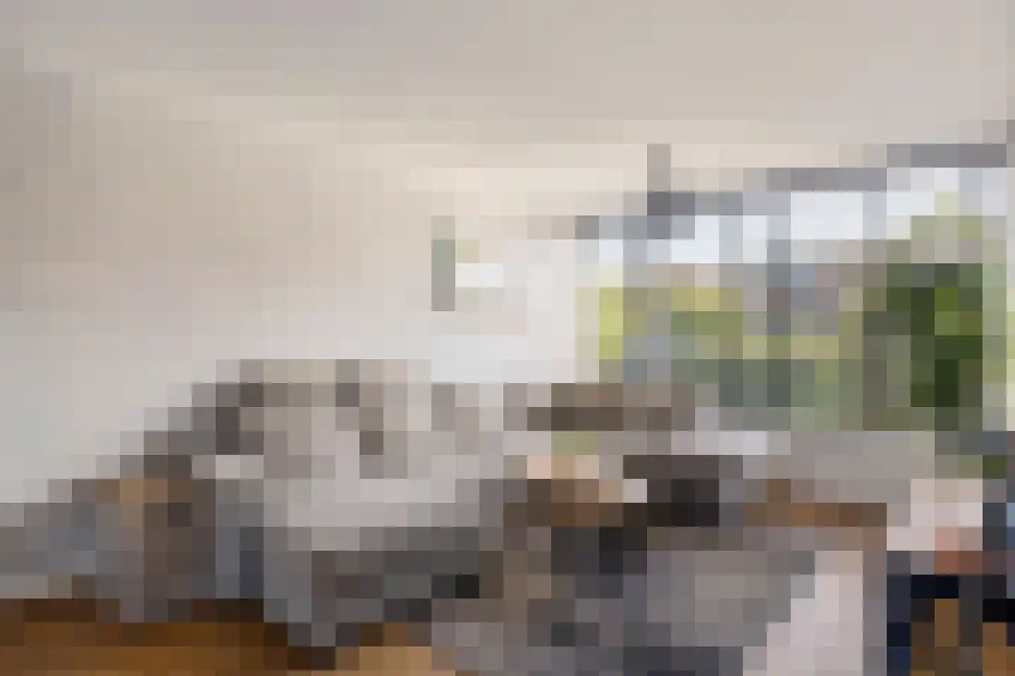 Bernardus IJzerdraatstraat 10 Oss thumbnail 9