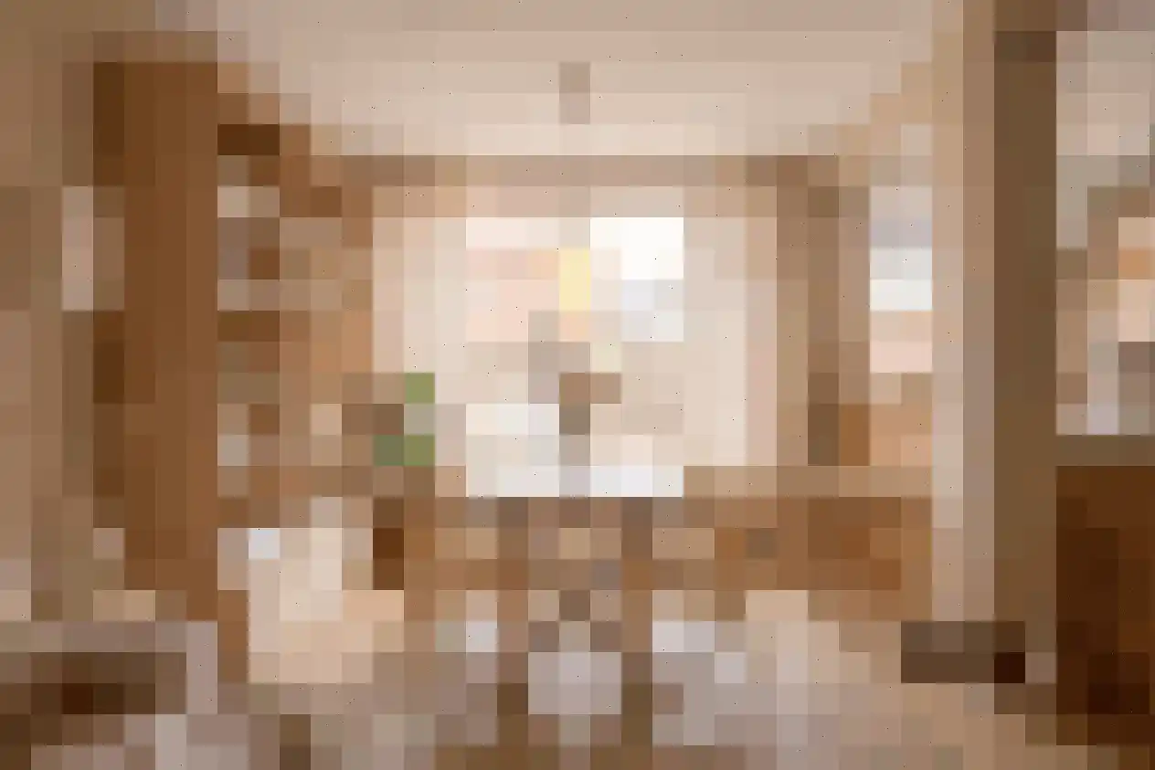 Bernardus IJzerdraatstraat 24 Oss thumbnail 10