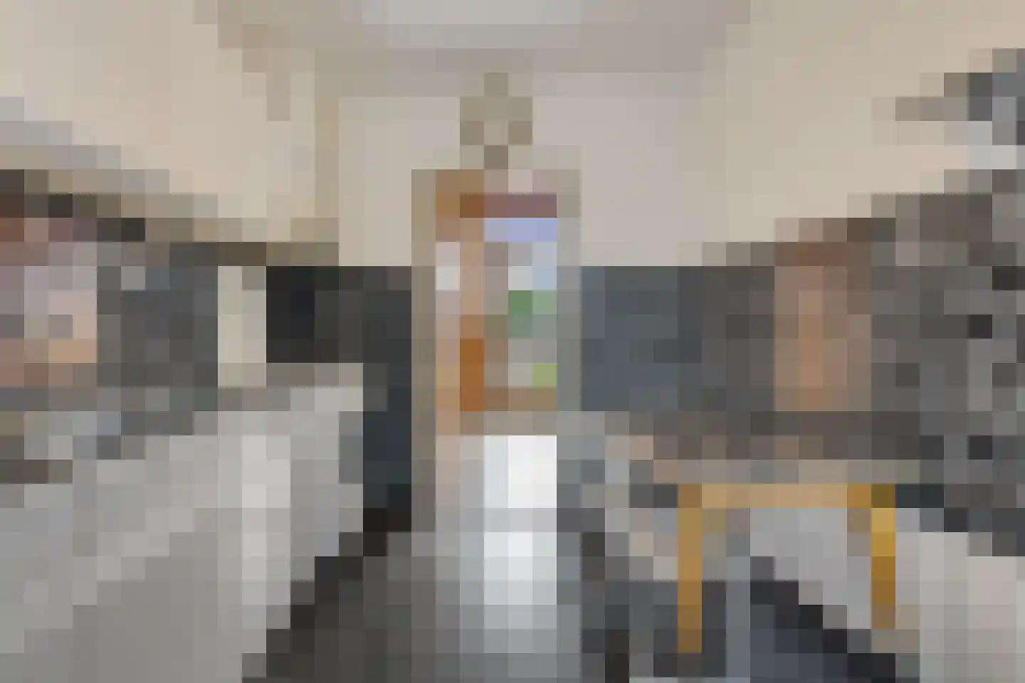 Bernardus IJzerdraatstraat 24 Oss thumbnail 13