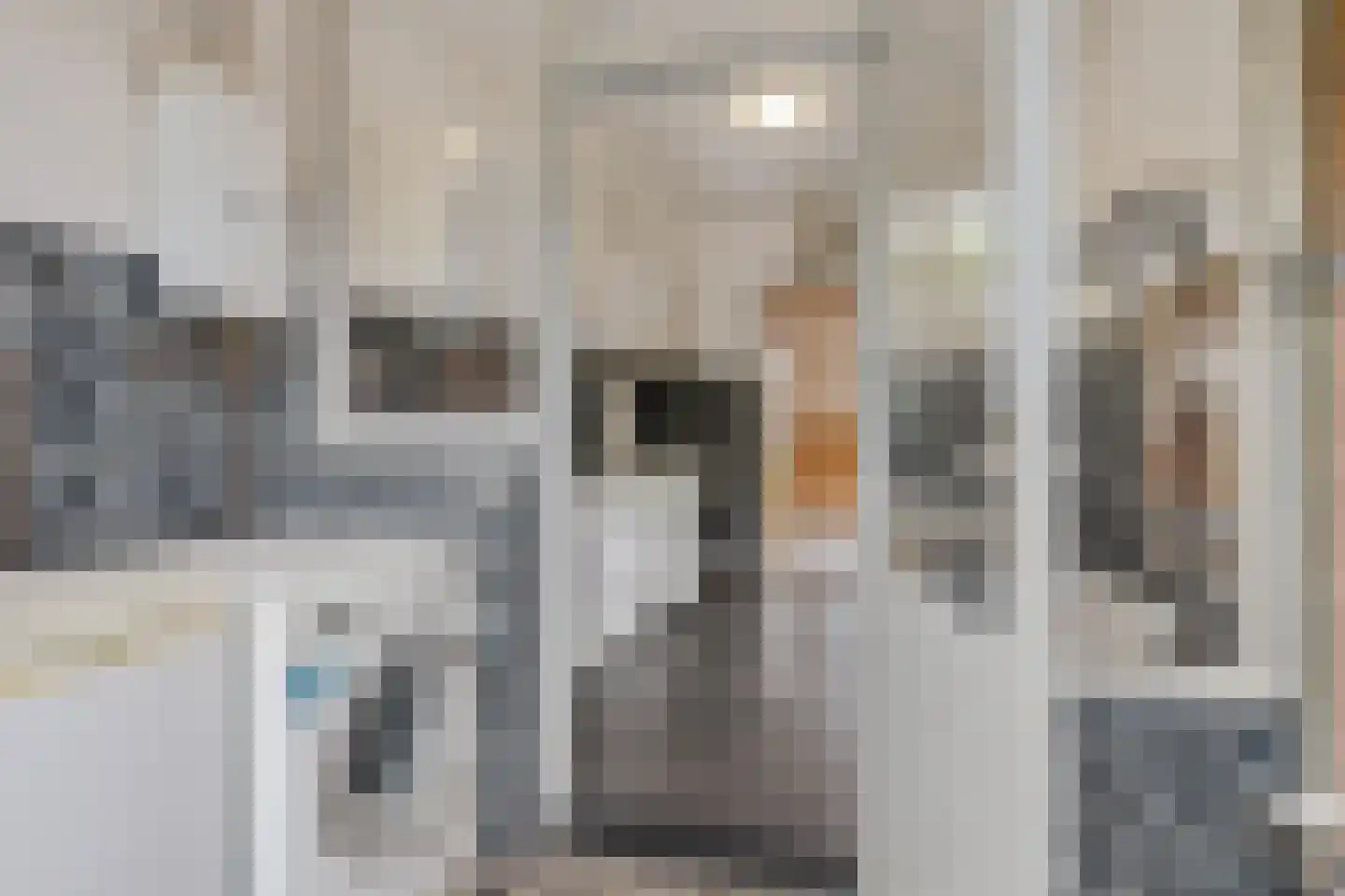 Bernardus IJzerdraatstraat 24 Oss thumbnail 16