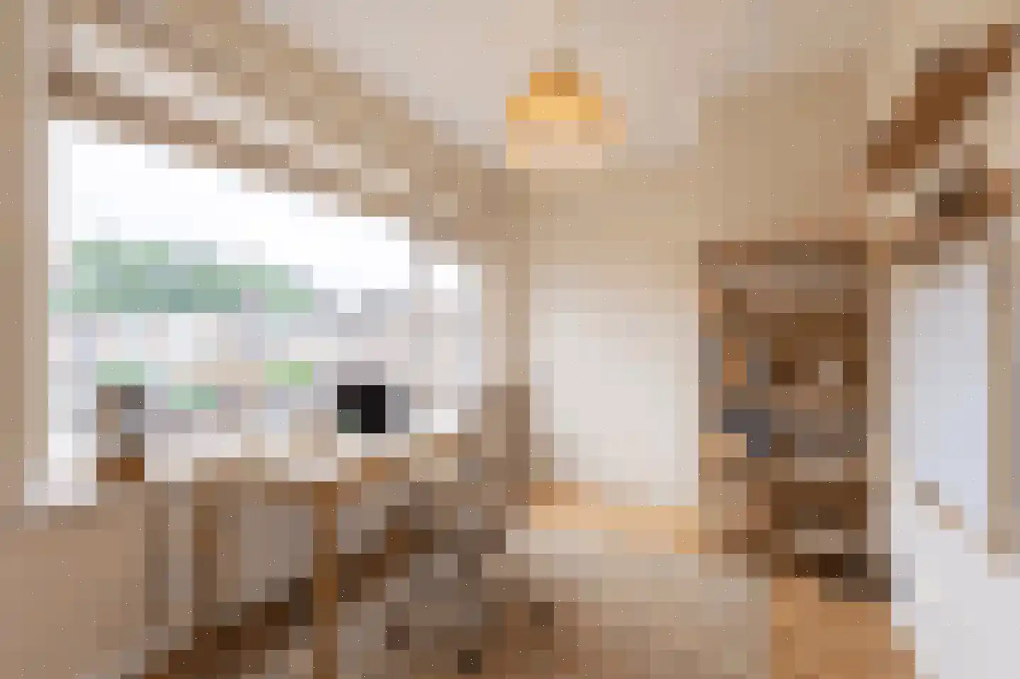 Bernardus IJzerdraatstraat 24 Oss thumbnail 23