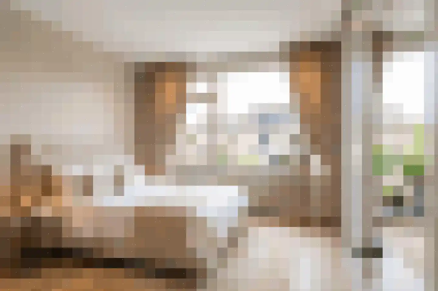 Bernardus IJzerdraatstraat 24 Oss thumbnail 26