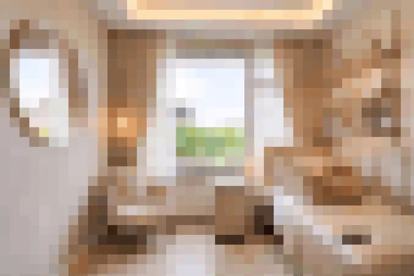 Bernardus IJzerdraatstraat 24 Oss thumbnail 30