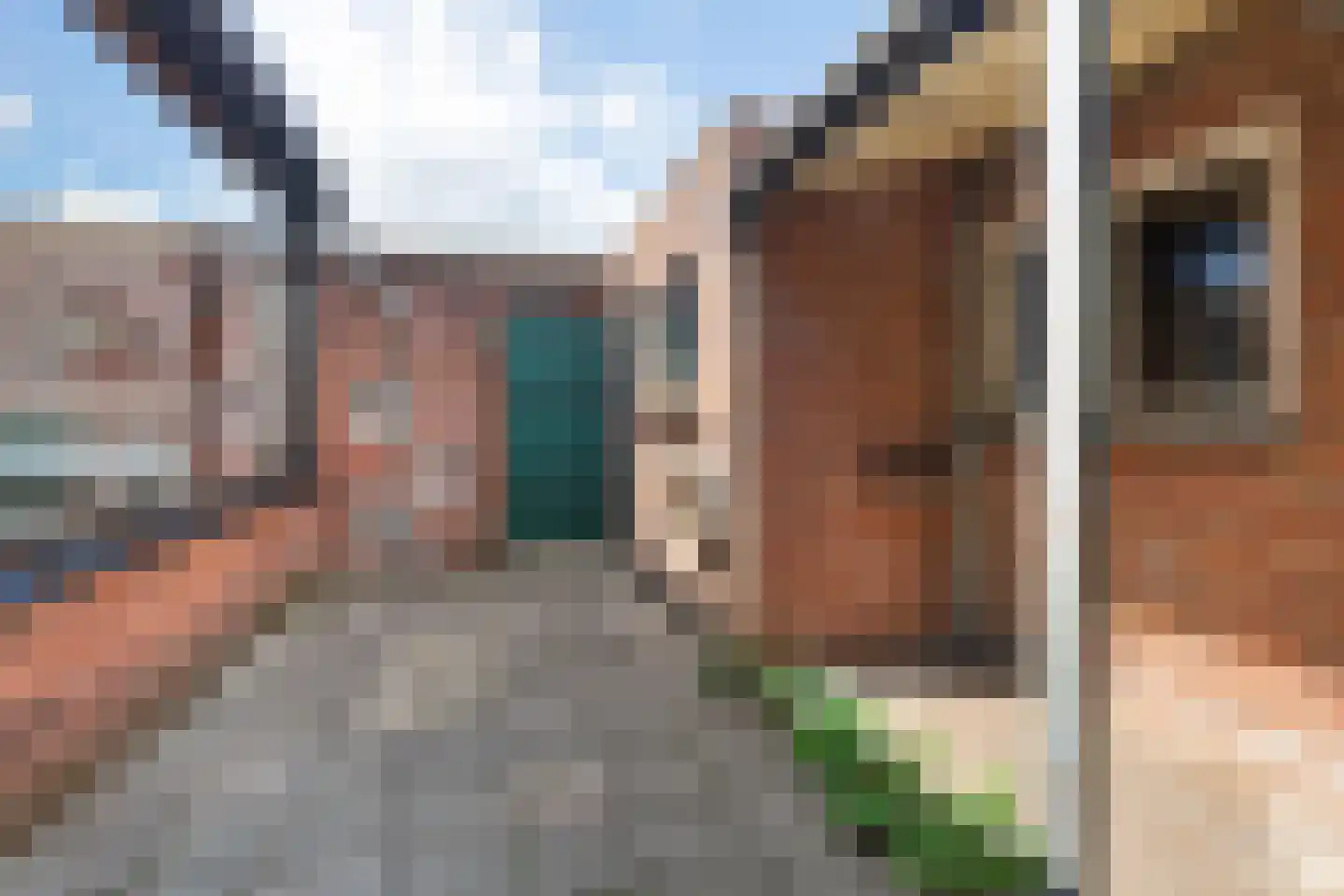 Bernardus IJzerdraatstraat 24 Oss thumbnail 34